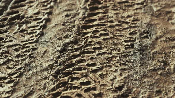 Wheel Tracks on Rough Road