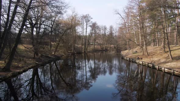 small river in spring forest. aerial.