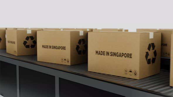 Boxes with MADE IN Singapore Text on Conveyor