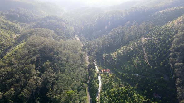 Aerial view plantation at hill in morning