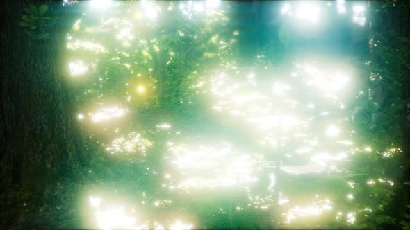 Firefly Flying in the Forest alt