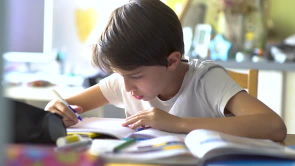 Boy doing homework