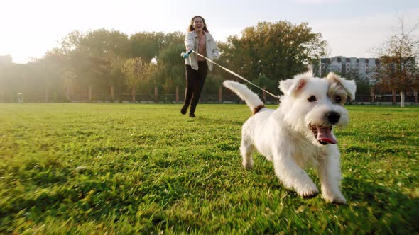 Jack Russell Terrier Dog Happily Runs with a Girl on the Grass in a Nature Park, Slow Motion