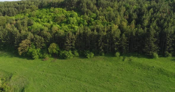 Aerial Drone Footage View of beautiful forest trees.