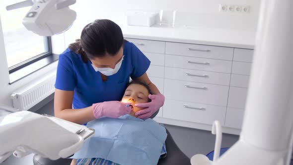 Dentist Checking for Kid Teeth at Dental Clinic 