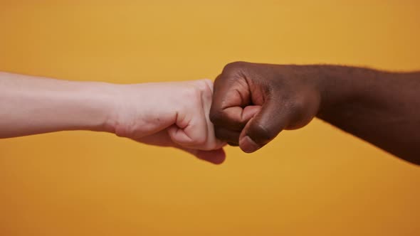 Fist To Fist - Black and White Hands - Partnership and Solidarity Concept