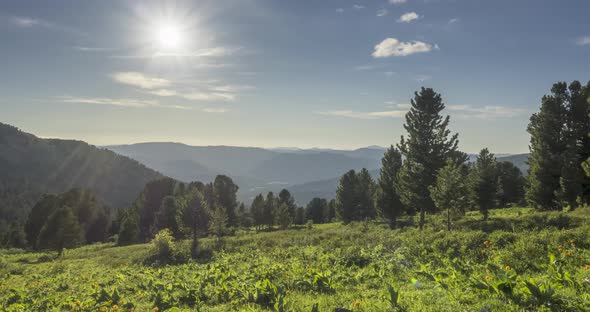 Mountain Meadow Timelapse