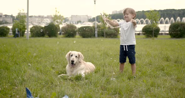 Child Playing with Giant Soap Bubbles and Dog