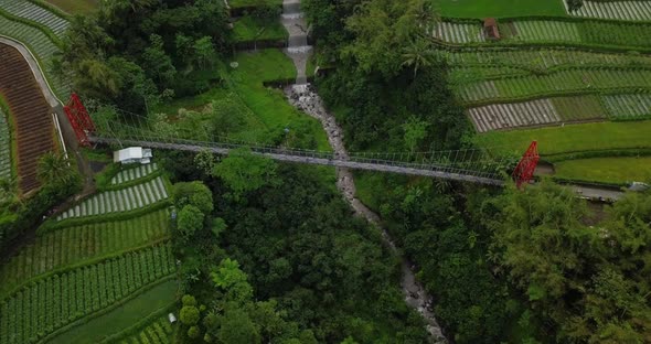 Vertical drone shot of metal suspension bridge build over river with waterfall, surrounded by trees