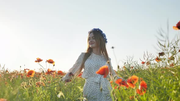 A Russian Girl with a Blue Wreath of Cornflowers Poses in a Field of Poppies