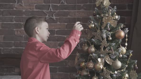 Boy Touches with Admiration Golden Toys on Christmas Tree