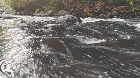 Mountain River in Autumn Forest. Water Close-up