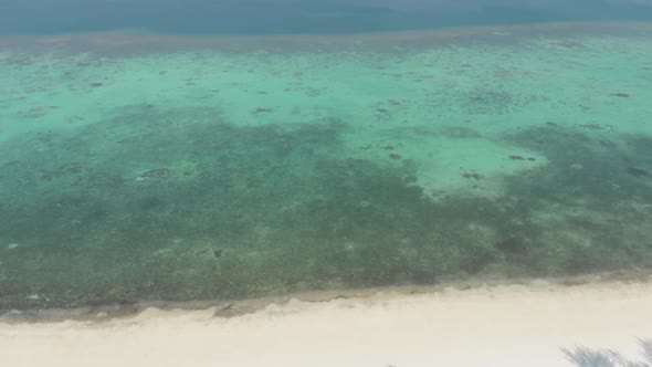 Aerial drone: uncontaminated coastline tropical beach caribbean sea coral reef palm tree woodland