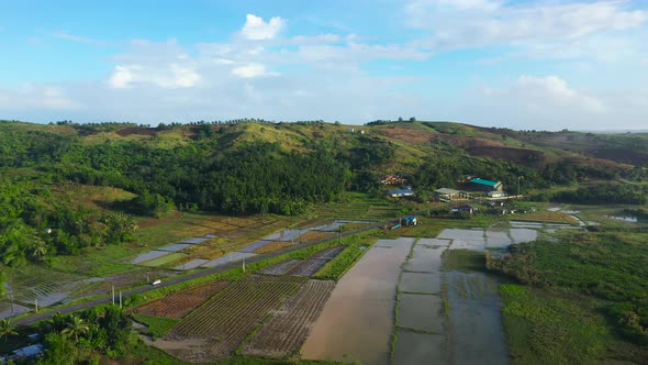 Tropical Landscape with Farmland and Green Hills, Aerial View