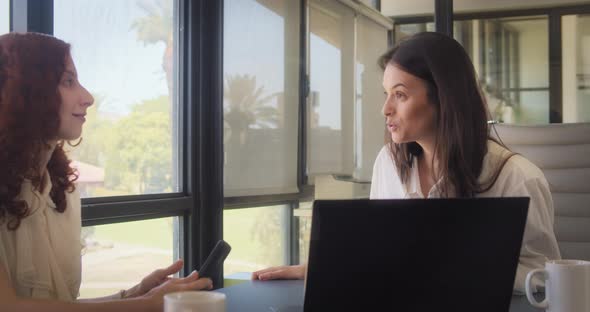 Two businesswomen working on an exciting new project together at the office