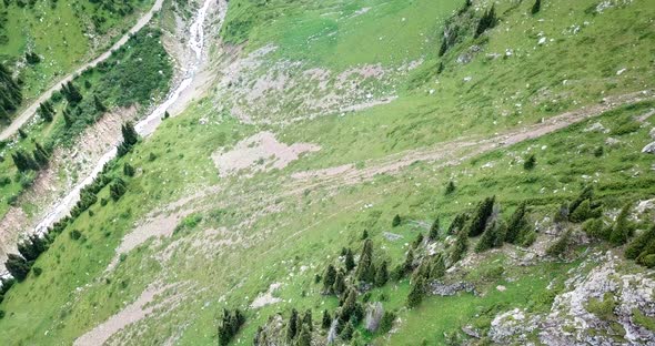 High Rocks in a Green Gorge