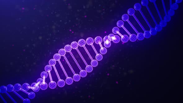 Scan DNA Chain Infinite Loop alt