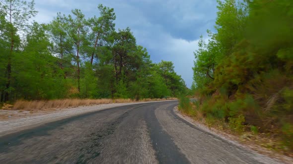 Car Drive Forest (2.7K)