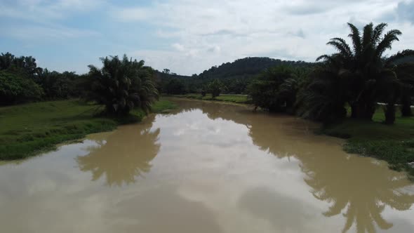 Fly over river in reflection of oil palm trees