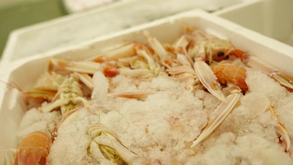 Royal Shrimps with Ice Crumbles Lie in White Container