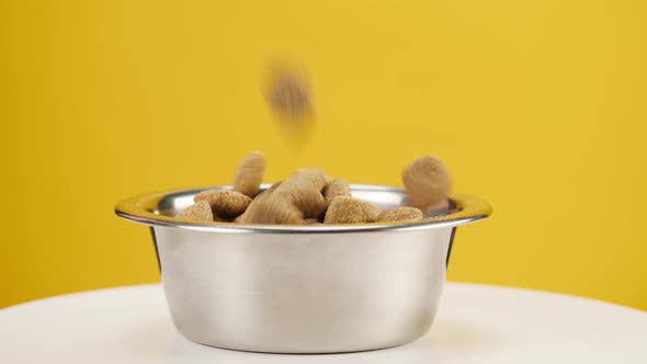 Pouring Dry Dog Food Into Metal Bowl Closeup