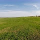 Green Whea Field in an Agricultural Landscape - VideoHive Item for Sale
