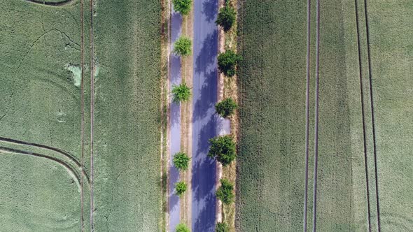 Car driving on country road through picture Calmer aerial view flight drone shot footage from above