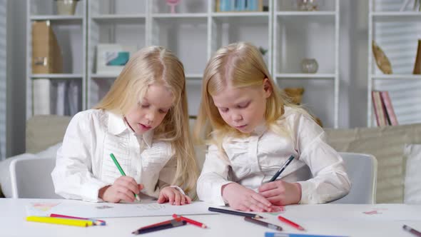 Diligent Twins Drawing Pictures with Pencils alt