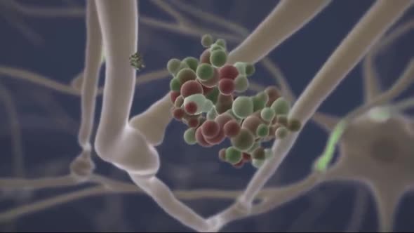 Brain cell synapse showing chemical messengers or neurotransmitters released