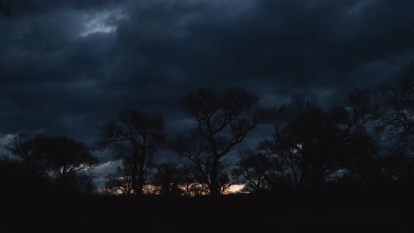 Clouds Flying Over Cottonwood Trees at Sunrise Timelapse Zoom Out