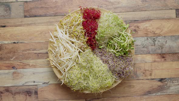 Vegetarian Concept Food. A Set of Different Sprouted Seeds for Healthy Eating on a Wooden Plate