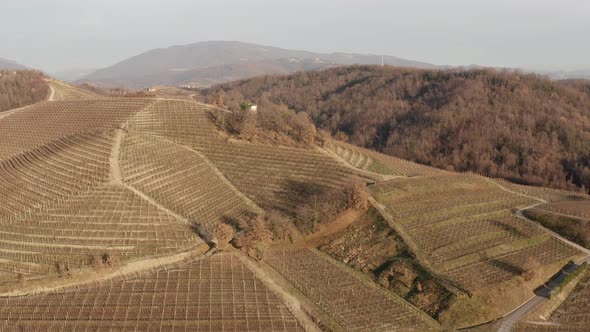 Drone view of vineyards during late autumn