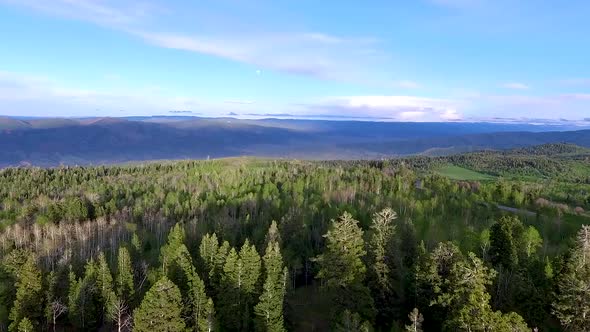 Aerial view of a vast forest in the mountains on a beautiful summer day with a stunning sky. Fly ove