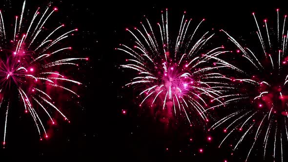 Colorful Fireworks Exploding in the Night Sky