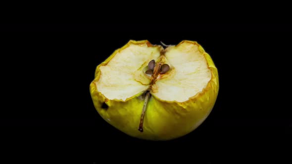 Apple Decaying - 2K