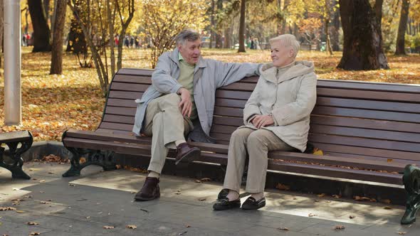 Mature Caucasian Older Strangers Couple Sit on Bench Retired Senior Man Arrange Meeting with Grey
