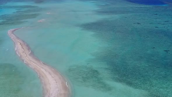 Drone aerial texture of tropical tourist beach wildlife by blue ocean and sand background