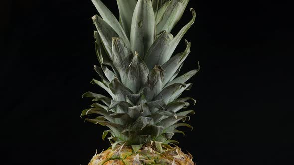 pineapple on black background