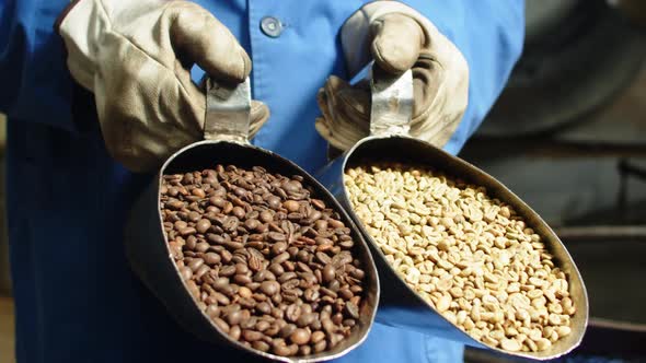 Slider of Man Holding Cups with Brown and Green Coffee Beans