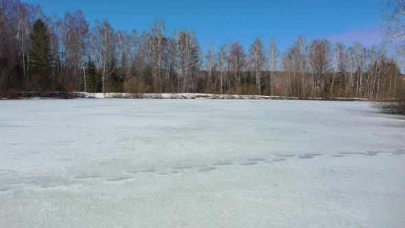 Flight over a frozen pond