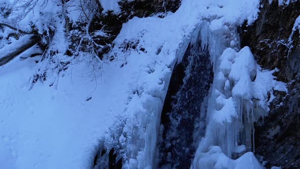 Frozen Winter Waterfall Guk in the Carpathian Mountains in the Forest