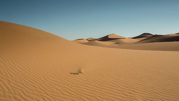 The amazing Erg chebbi dunes in the sahara desert, morocco