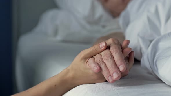 Caring Young Hand Holding the Hand of an Old and Sick Loved One