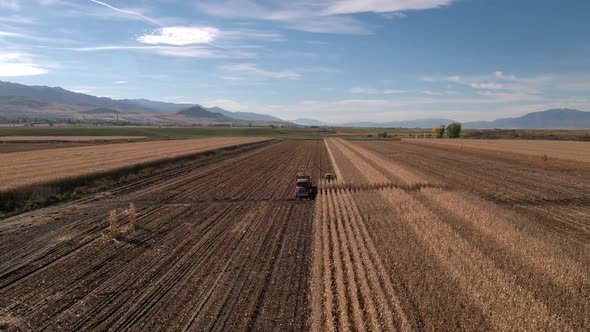 Aerial view flying over combine loading truck