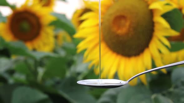 Motion of Pouring Sunflower Oil Liquid Into Spoon