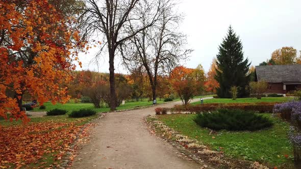 Golden Autumn In A Country Estate