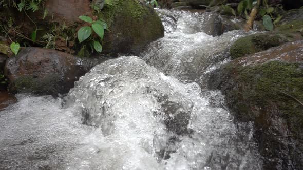 Tropical River Slow Motion