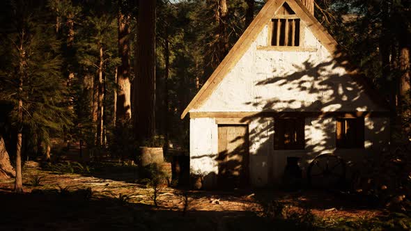 Old Wooden House in the Autumn Forest alt
