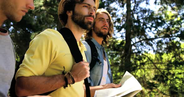 Three hiker friends walking in the forest