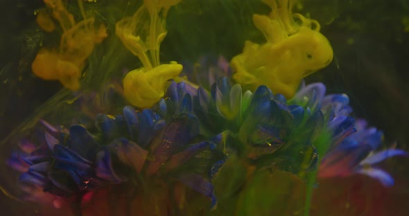 Close Up of a Flower Under Water and Yellow Ink Falling in Clouds 